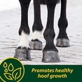 thumbnail image 2 of Farnam Horseshoer's Secret Supplément de Sabot Granulé pour Chevaux, 2 of 6
