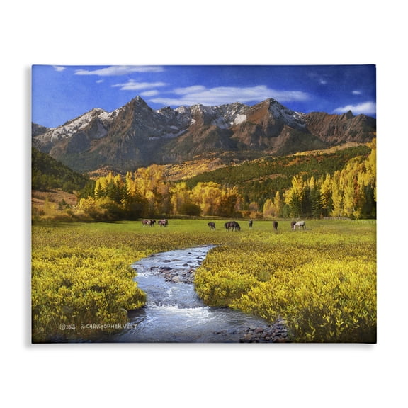 Stupell Industries Farmhouse Canvas Art, 20 x 16, by Chris Vest