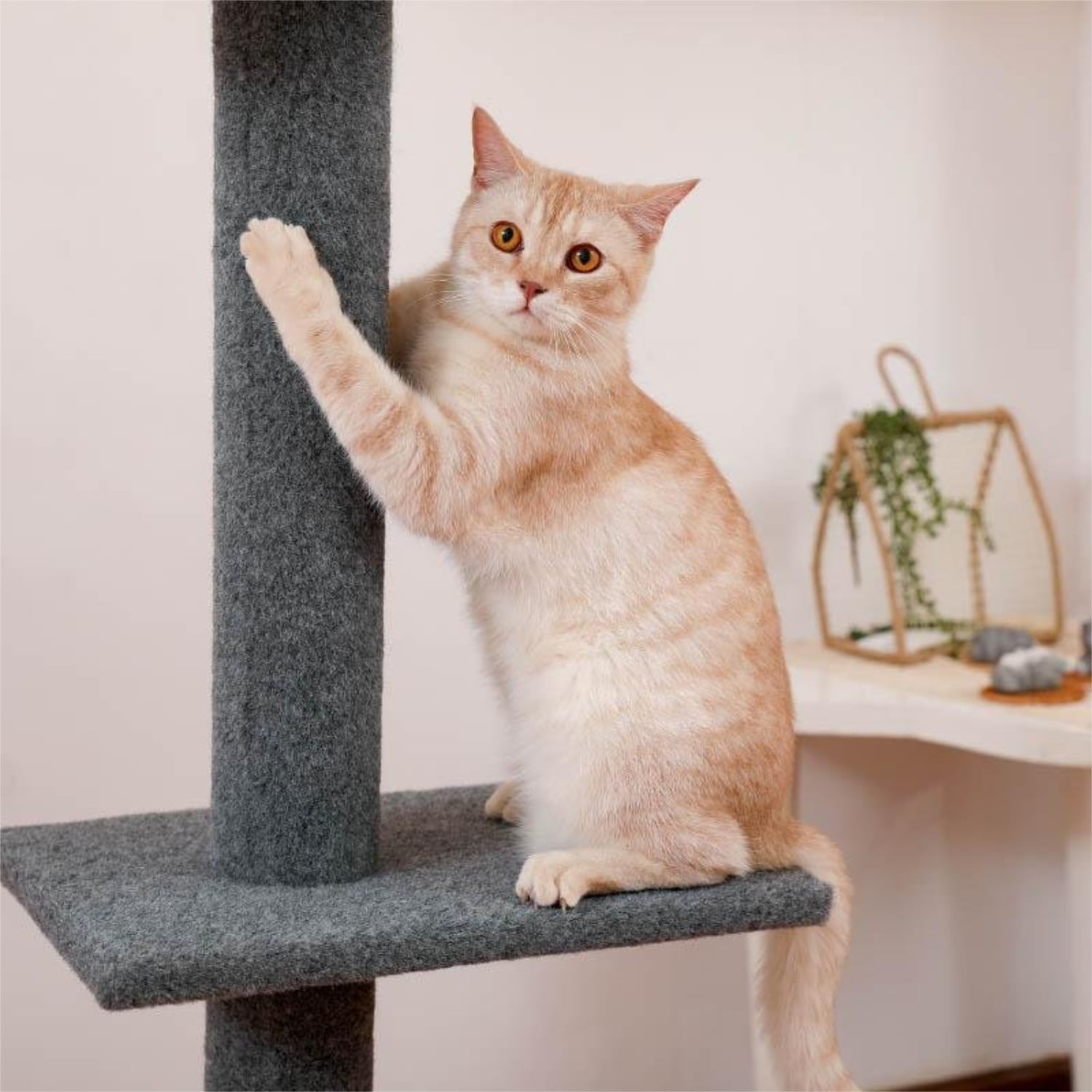 Pefilos Three Tier Cat Tower for Indoor Cats Floor-to-Ceiling Cat Tree Cat Climbing Tree Modern Cat Tree Tower 9 Feet (Adjustable 90"-108" Tall), Gray Pefilos Three Tier Cat Tower for Indoor Cats Floor-to-Ceiling Cat Tree Cat Climbing Tree Modern Cat Tree Tower 9 Feet (Adjustable 90"-108" Tall), Gray