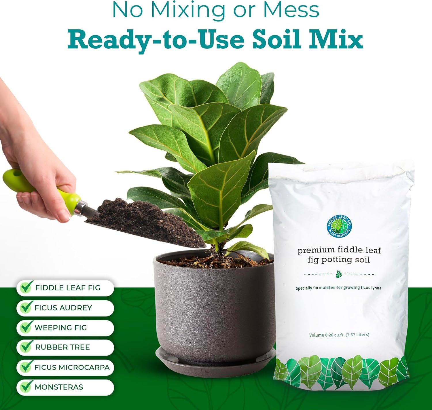 Fiddle Leaf Fig Potting Soil Mix by Fiddle Leaf Fig Plant Resource  Premium Organic Soil with Enhanced Drainage for Fast Growth and Healthy Roots Large Bag