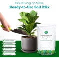 thumbnail image 4 of Fiddle Leaf Fig Potting Soil Mix by Fiddle Leaf Fig Plant Resource  Premium Organic Soil with Enhanced Drainage for Fast Growth and Healthy Roots Large Bag, 4 of 9
