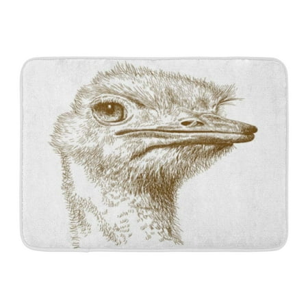 Antique Ostrich - SIDONKU Emu Antique Engraving of Ostrich Head Farm Sketch Doormat Floor Rug Bath Mat 23.6x15.7 inch