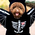 thumbnail image 3 of WASHWEPE 5Pcs  Pets Clothes Bat Theme Dog Costume Black Polyester For Photography Props, 3 of 8