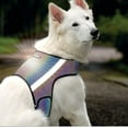 thumbnail image 6 of FINNERO GLOW Full-Reflective Dog Vest (size L) – Black Safety Vest with Rainbow Shine, 360° High-Visibility Lightweight & Adjustable Design, 6 of 9