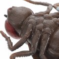thumbnail image 4 of Shisuyan Realistic Solid Fly Model For Kids Cognitive Insect Toys April Fool'S Day Props Ideal For Pranks And Halloween Party Decorations, 4 of 8