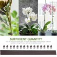 thumbnail image 2 of 10 Soportes para Plantas de Interior con 10 Clips, Soporte para Palos de Plantas de 50 Cm, Acero MetáLico Flexible, 2 of 5