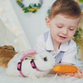thumbnail image 5 of Wang jianhao Small Pet Harness and Leash, 4-Pack Adjustable Vest Set for Rabbits, Bunnies and Ferrets, 5 of 8