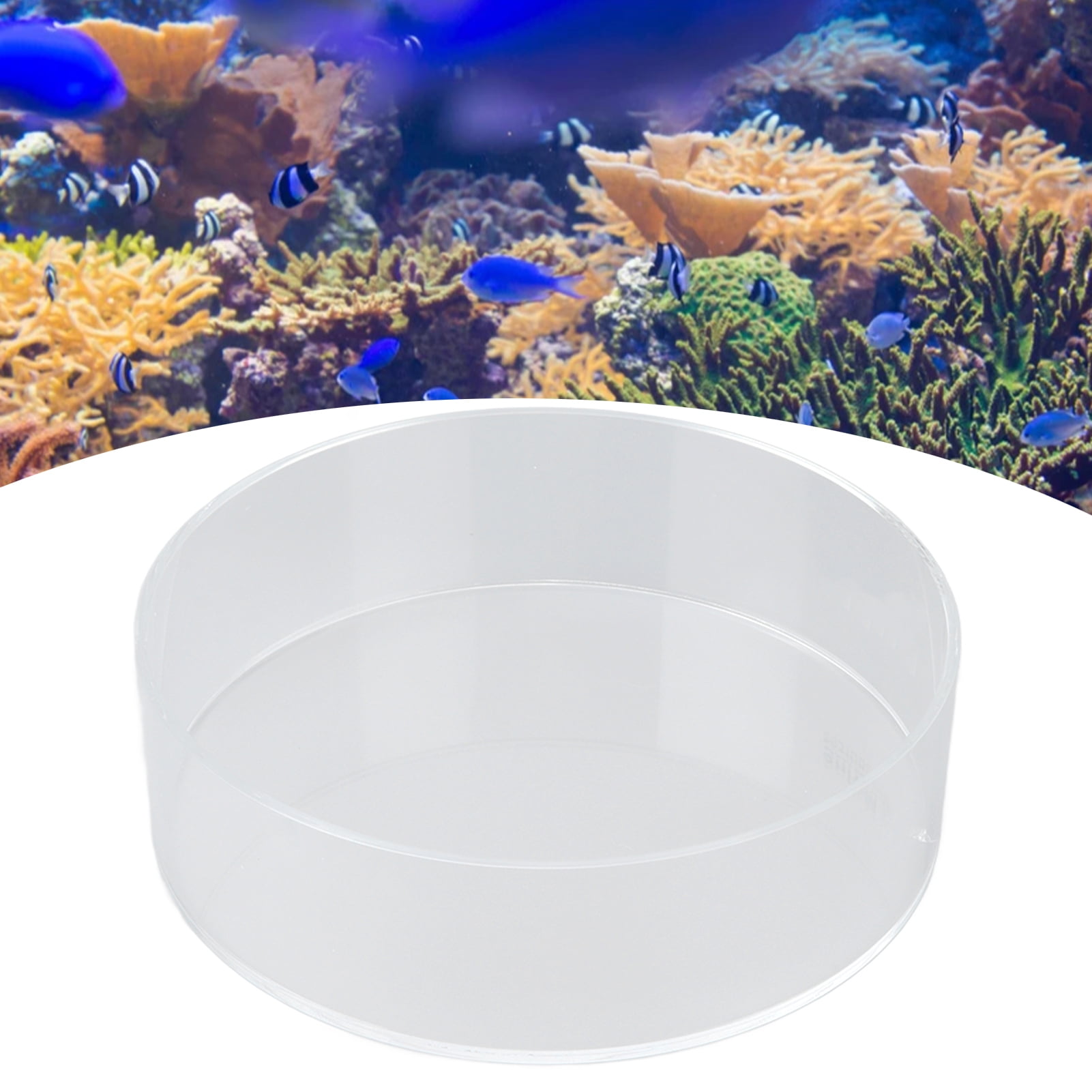 Yajisi Coral Observe Lens, Transparent Acrylic Fish Tank Cylinder Magnifier for Viewing Coral and Taking Pictures, Aquarium Photography Viewer, 10.24 inches / 26 cm, Clear