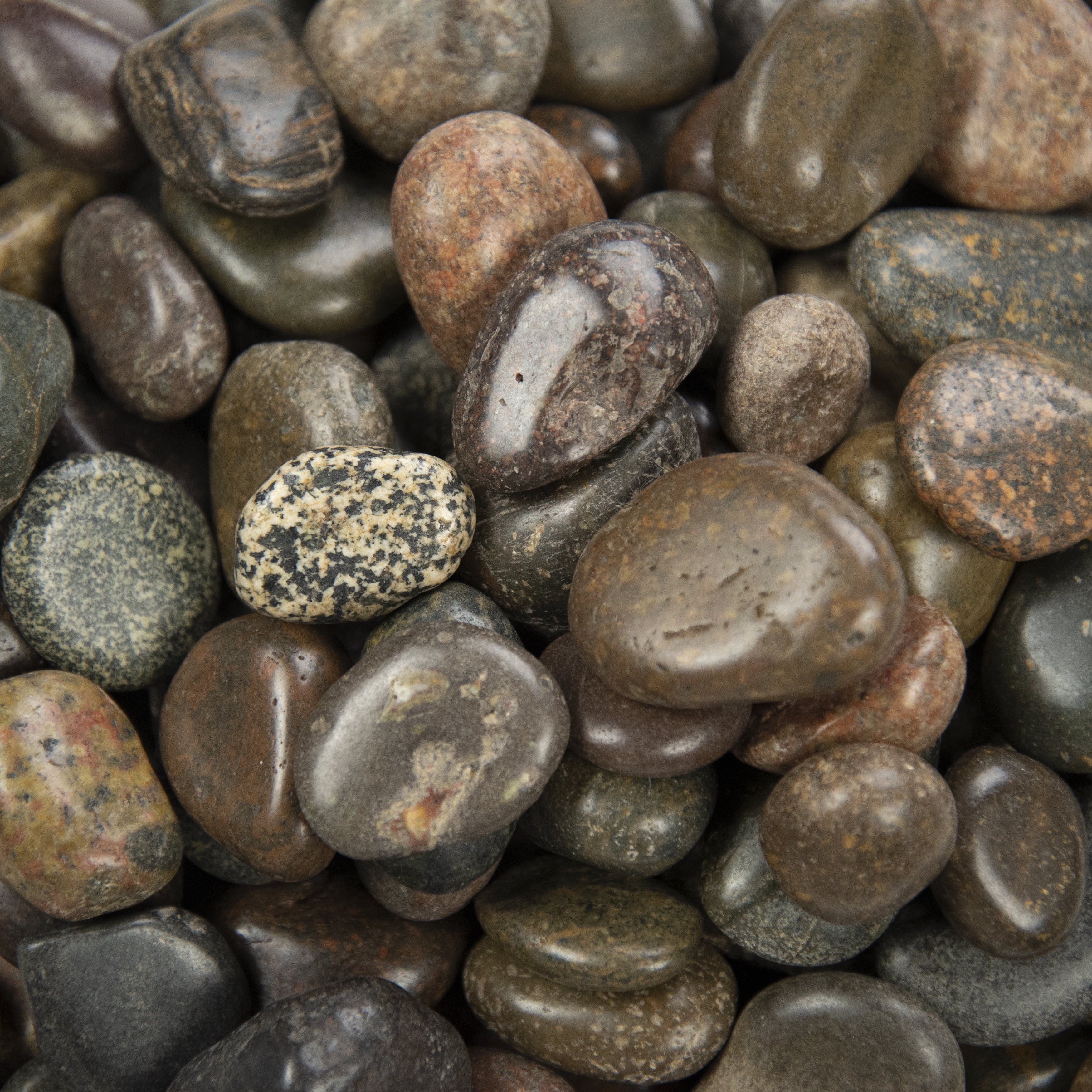 MSI 40 lb. Marble Decorative Stones, Grade-1, First-Quality Polished Marble Pebbles Green