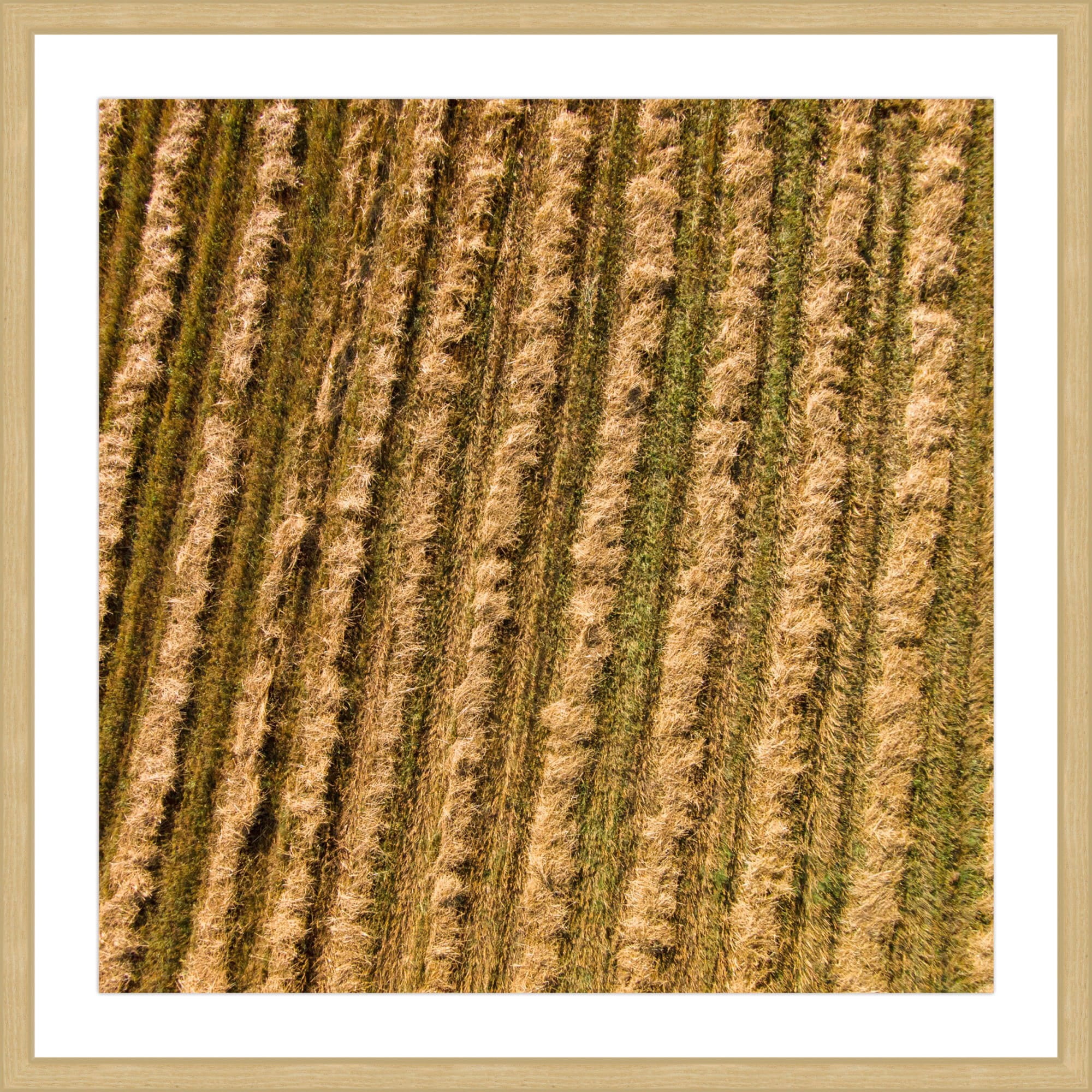 Marmont Hill "Tilled Field" By Karolis Janulis Framed Painting Art Print, 24.0" x 1.5"