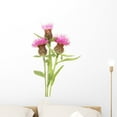 thumbnail image 1 of Thistle Flowers Wall Decal by Wallmonkeys Peel and Stick Graphic (24 in H x 16 in W) WM206374, 1 of 4