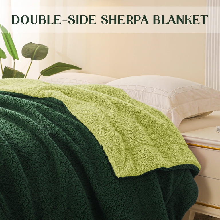 Exclusivo Mezcla 50" x 60" Reversible Sherpa Throw, Green photo 5