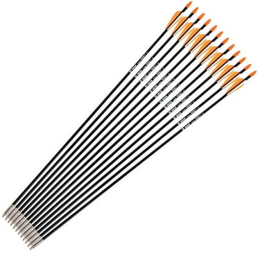 12pcs Fiberglass Arrows training 31" Archery 7mm F Recurve bow & Compound Bow Hunting