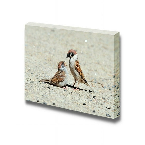 Canvas Prints Wall Art - Eurasian Tree Sparrow Pecks Sunflower Seeds Birds Playing | Modern Wall Decor/Home Decoration Stretched Gallery Canvas Wrap Giclee Print & Ready to Hang - 16" x 24&q