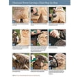 thumbnail image 5 of Art of Chainsaw Carving: Insights and Inspiration from Top Carvers Around the World (Paperback), 5 of 10