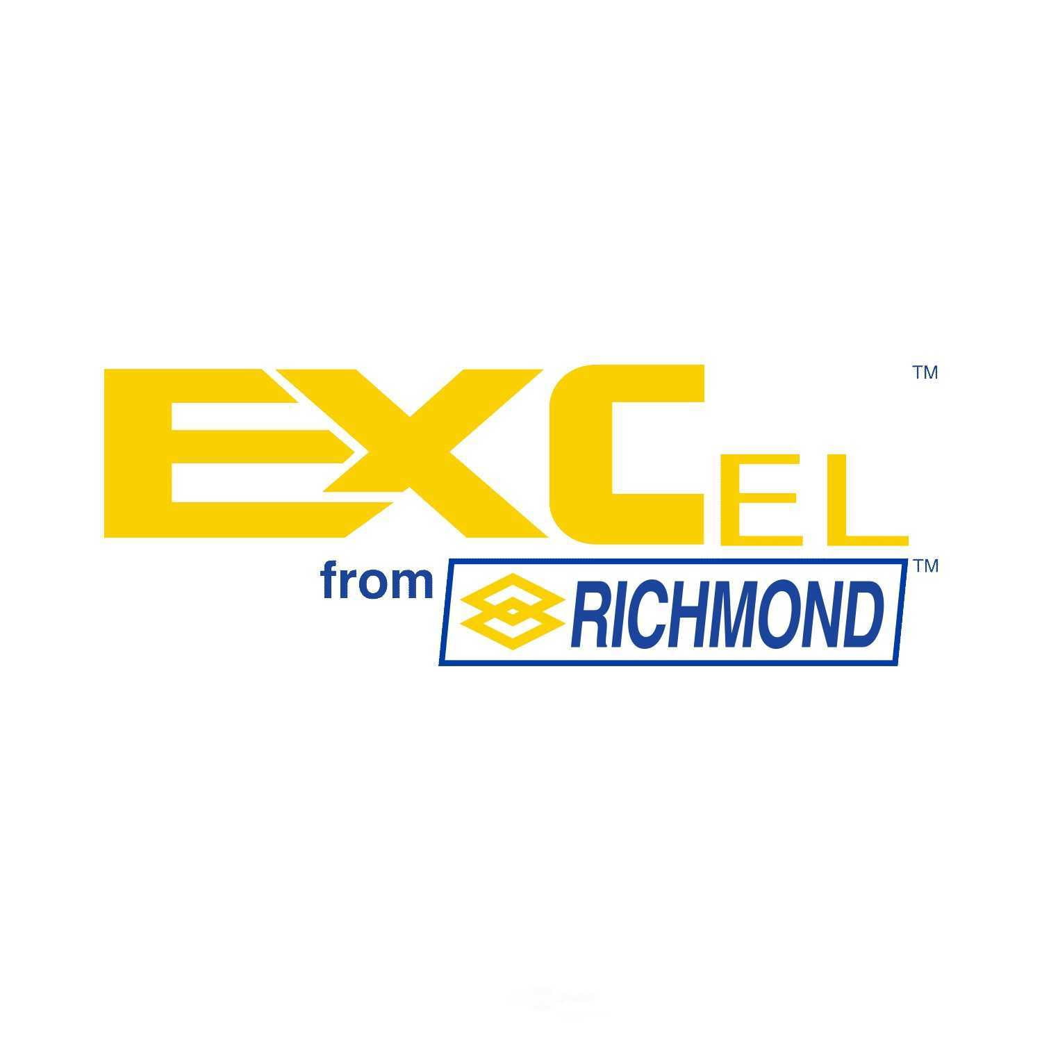 EXCEL from Richmond XL-1013-1 Differential Bearing Kit