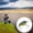 Color 9#, variant on Yajisi Fishing Mini Minnow Bait High Simulation Artificial Lure for Bass 2.36 inches / 6 cm Color 6#