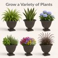 thumbnail image 5 of Sunnydaze Darcy 16" x 16" x 13" Round Rust Polyresin Outdoor Planter Pot, 5 of 14