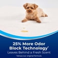 thumbnail image 3 of Limpiador de alfombras y tapicería Bissell Woolite Advantage 12 oz, 3 of 5