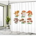 thumbnail image 4 of Ambesonne Vegetable Shower Curtain, Various Mushrooms Grass, 69"Wx75"L, Paprika Pale Brown and Khaki, 4 of 4