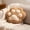 D, variant on Cute Moggy Paw Shaped Pillow for Home Office Car, Soft Cuddle Cushion for Back Support Nap Time, Ideal Gift for Cat Lovers, Multicolor