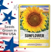 Skyscraper Sunflower Seeds