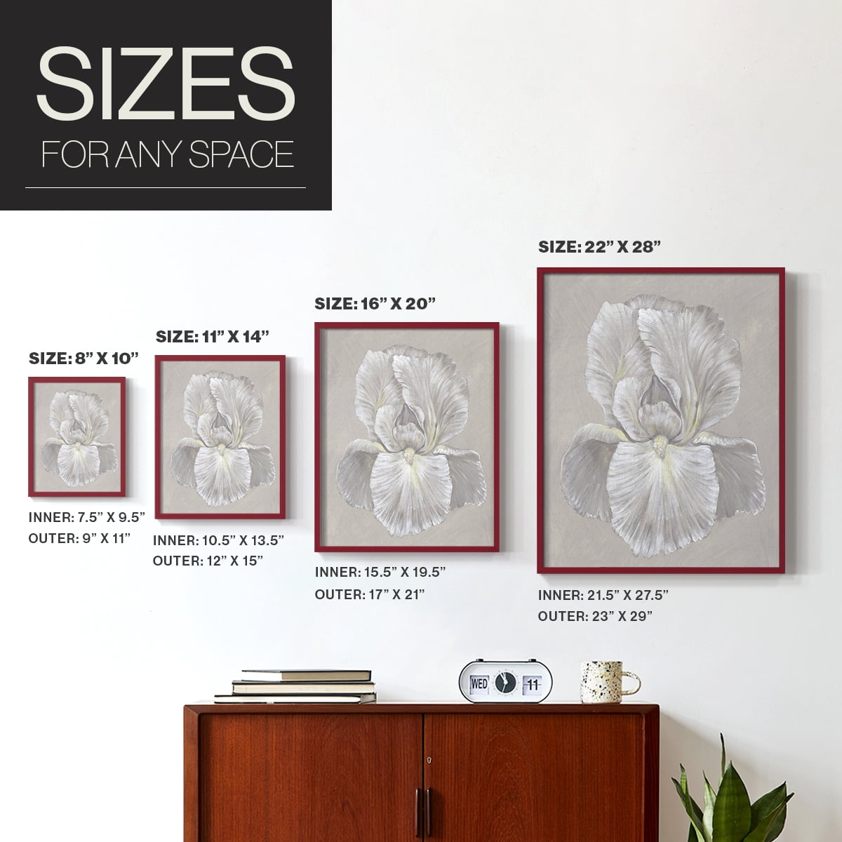 White Iris I Framed Print in Red Solid Wood 8 x 10 Framed Print