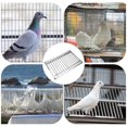 thumbnail image 4 of LOVEVER Porte d'Oiseau en Acier Inoxydable Cage Bar Porte d'Entrée pour Pigeons, 4 of 6