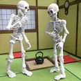 thumbnail image 7 of Halloween Mini Skeleton Models - 3.54" Poseable Skeletons with Articulated Joints for Graveyard Scenes & Themed Party Decor, 7 of 7