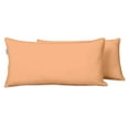 thumbnail image 1 of VargottamIndoor/OutdoorPolyester FabricLumbarPillowCover,All-Weather Waterproof Rectangular Cushion Case for Patio Furniture,16" x 24"Set of 2-Light Peach, 1 of 7