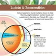 Quantum Health Macula 30+, 51 Lutein to Zeaxanthin Eye Support