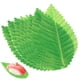 thumbnail image 1 of FELTECHELECTR 200 piezas de tapetes de comida japonesa para decoración de sushi, hojas de sashimi, adornos (verdes), 1 of 5