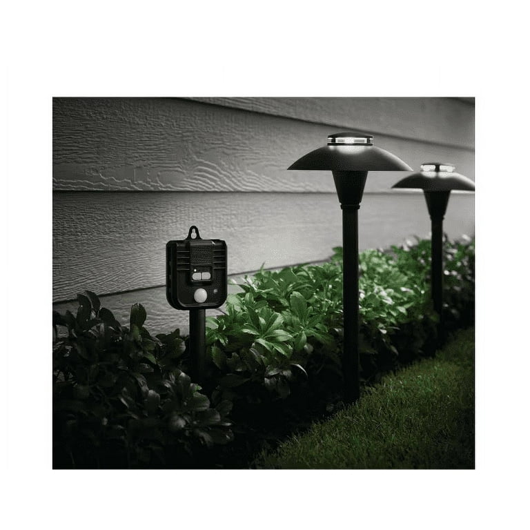 Low Voltage Landscape Lighting