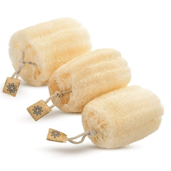 Natural Real Egyptian Shower Loofah Sponge That Will Get You Clean and Not Just Spread Soap (3 lufa Pack).