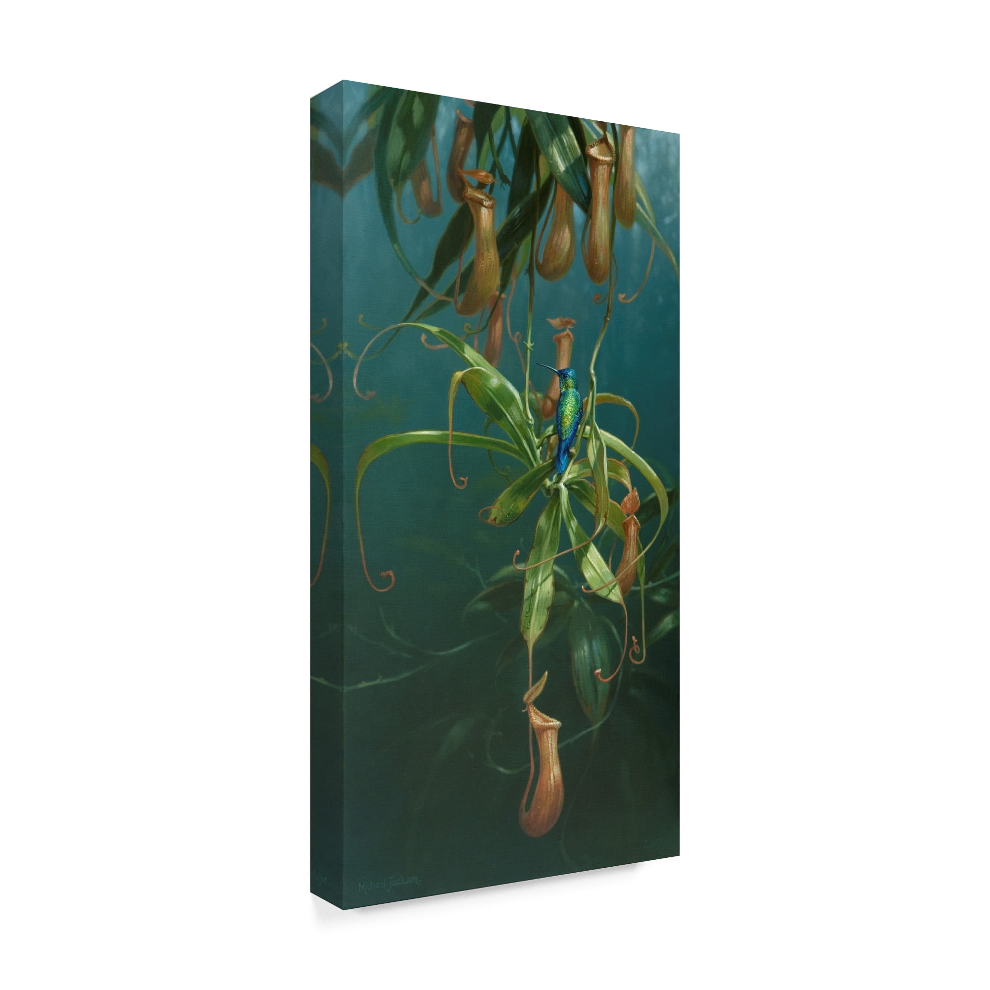 Trademark Fine Art 'Humming Birds' Canvas Art by Michael Jackson