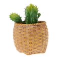 thumbnail image 3 of Artificial Del Tacto Verdadero De La Decoración Bola De Cactus Flor Follaje De Plantas Suculentas, 3 of 8