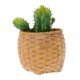 thumbnail image 3 of Planta artificial,artificial Suculento,tacto verdadero de la planta,Falso Suculento,Decoración floral,planta de plástico, 3 of 8