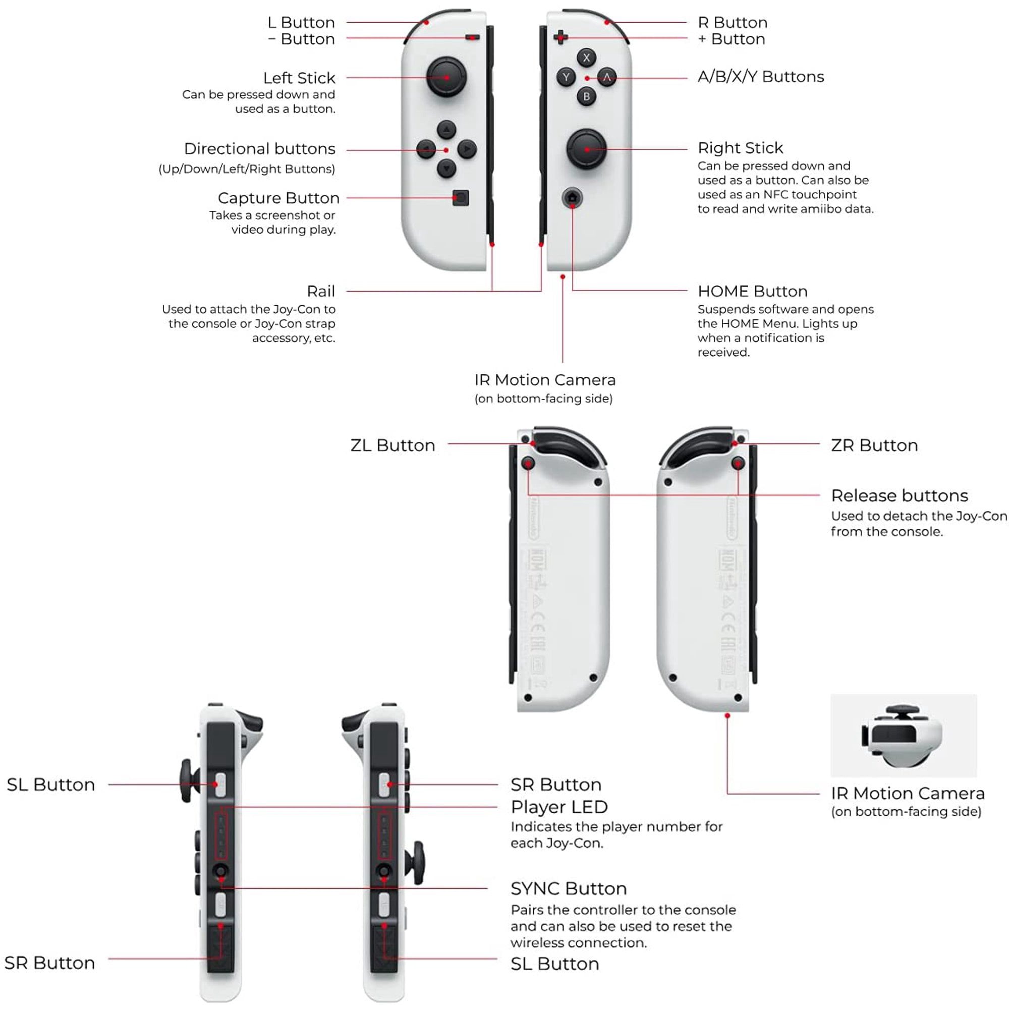 Newest Nintendo Switch 64GB OLED Model Bundle, Nintendo Switch Console with White Joy-Con Controllers, Vibrant 7-inch OLED Screen, 64GB Storage, HDMI, Bluetooth, Tigology Accessories
