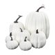 thumbnail image 2 of 14 piezas de calabazas de imitación, blanco, naranja, simulación de Halloween, adorno de decoración de otoño SM SunniMix Calabazas de espuma sintética, 2 of 8