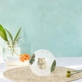 thumbnail image 6 of oshhni Hamster Ball Clear Easy to Clean Running Wheel for Dwarf Small Pets Hamsters Green, 6 of 9