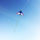 thumbnail image 1 of Colorful Rainbow Kite Deltas Long Tail Nylon Outdoor Surf Kid Toys Flying Kid With Kite Kites Kids Outdoor Toys heqiyong LED, 1 of 2