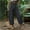 Gray women's elastic waist harem pants a1, variant on Women's Elastic Waist Harem Pants Casual Flowy Solid Bohemian Drawstring Palazzo Trousers Summer Vacation Beach Lounge Yoga Wear, Blue 2XL