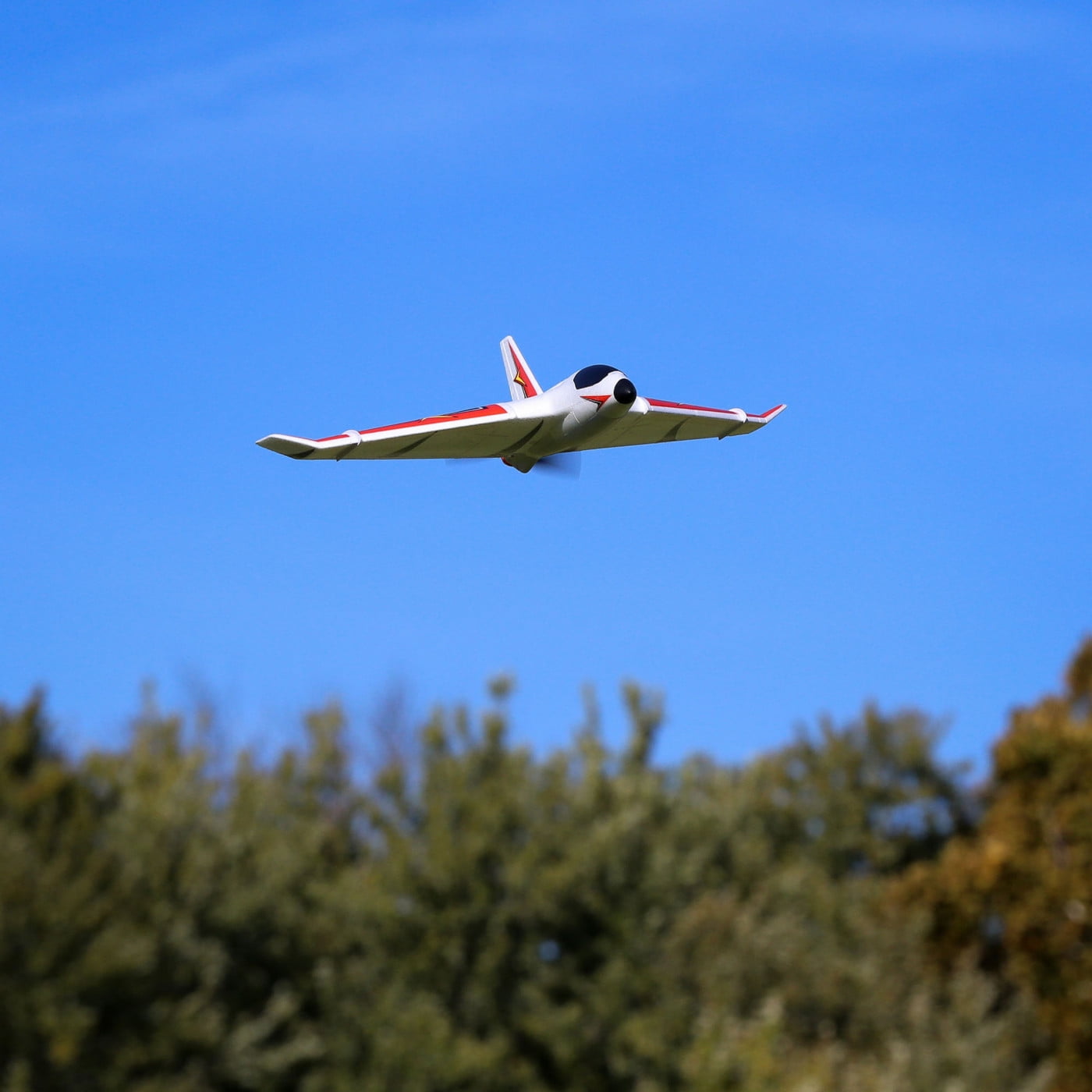 e flite delta ray one
