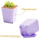 thumbnail image 3 of Nvzi Paquete de 24 macetas de plástico cuadradas para vivero, macetas de plástico de 3 pulgadas, maceta con bandeja y platillo para decoración de interiores, exteriores,color morado, 3 of 5