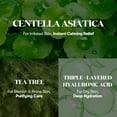 thumbnail image 3 of VT COSMETICS Cica Cream Plus, Hydrating & Calming Face Moisturizer with Centella Asiatica, Lightweight Soothing Cream for Acne, Oily, Dry and Sensitive Skin, Korean Skincare for acne prone skin, 3 of 5