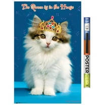 Keith Kimberlin - Kitten - Queen Wall Poster, 22.375" x 34"