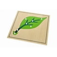thumbnail image 4 of IFIT Montessori 3 Botany Puzzles with Cabinet, Montessori Toy Botany Material, 4 of 4