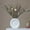 White, variant on XGFHYJEH Vase, Flower Vase, Vase Decor, Spring Vase, Short Vase, Bouquet Vase, Flower Vases Clearance, Flower Vase Decor, Vase Decorations Clearances, Ceramics Vase