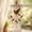 #144-C, variant on Cheapark Hummingbird Wind Chime Garden Hanging Wind Bell 17.7 Inch Melodic Sound for Patio Porch Yard Outdoor Decor Gift