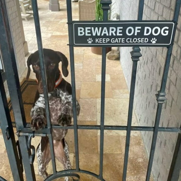 YAOMOBB Dog Warning Sign Beware of Dog Sign Aluminum Warning Sign for Home Outdoor Safety